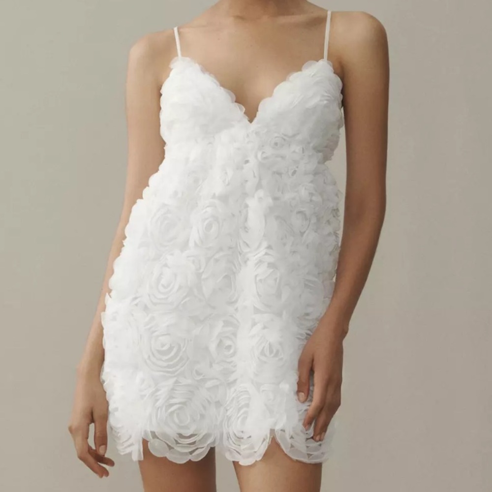 🕊️BHLDN~V-Neck Tulle Rosette Mini Dress